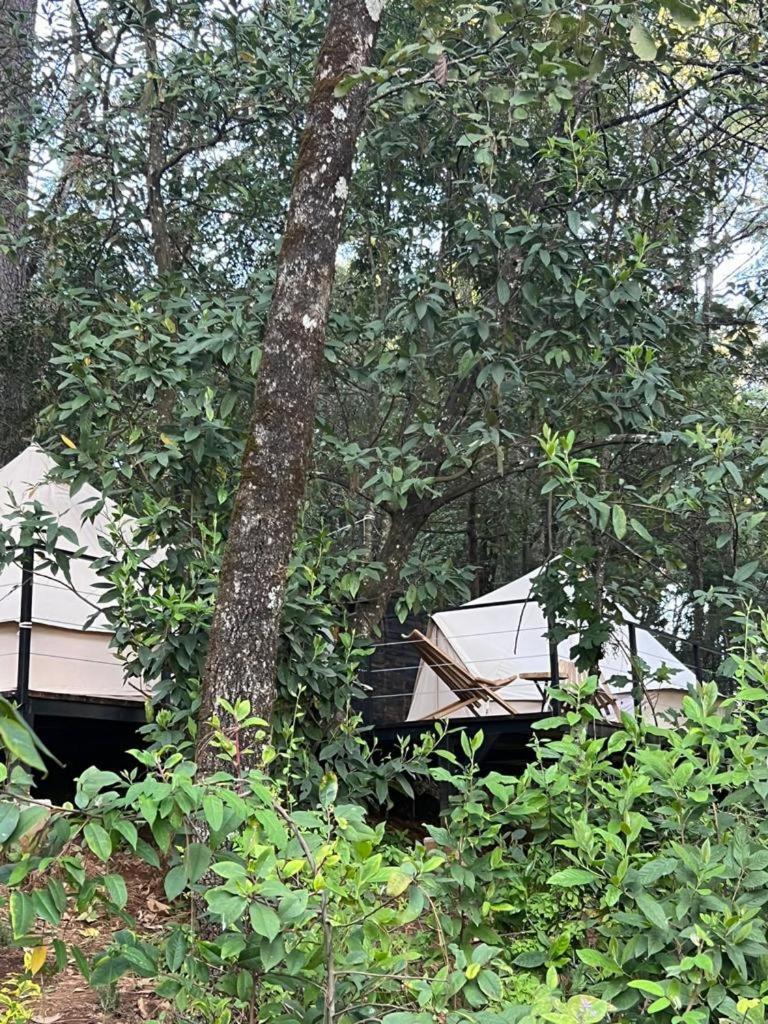 Hotel Oxu Solo Adultos Valle de Bravo Extérieur photo